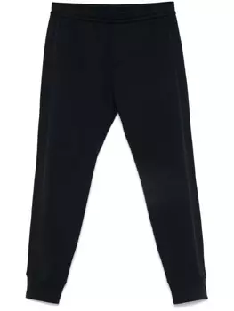 Спортивные брюки с логотипом Emporio Armani, синий