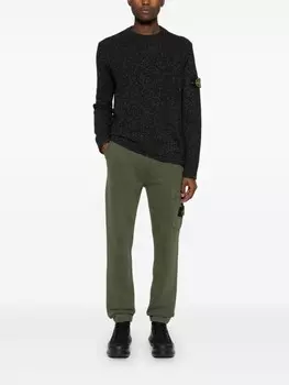 Спортивные брюки с логотипом Stone Island Compass, зеленый