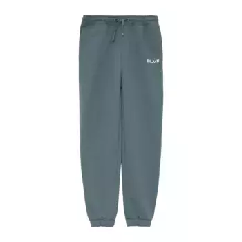 Спортивные брюки s.Oliver Junior с надписью, серый/зеленый