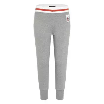 Спортивные брюки с трикотажным поясом и нашивкой CHIEMSEE, цвет grau