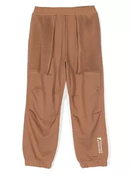 Спортивные брюки с вышитым логотипом Emporio Armani Kids, коричневый