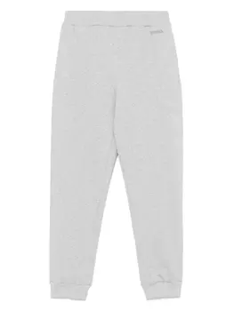 Спортивные брюки с вышитым логотипом Zegna, серый