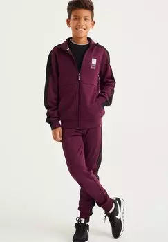 Спортивные брюки SALTY DOG WE Fashion, цвет violet