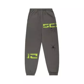 Спортивные брюки Sp5der 5Ex Sweatpant Slate Grey, серый