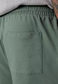 Спортивные брюки Stag Next, шалфейный зеленый