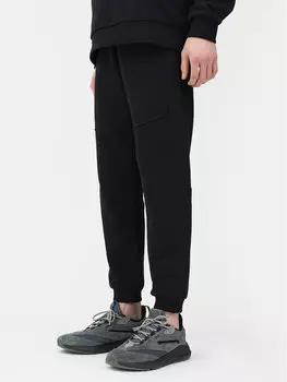 Спортивные брюки стандартного кроя 4F, черный