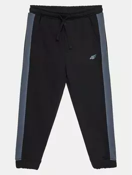 Спортивные брюки стандартного кроя 4F, черный