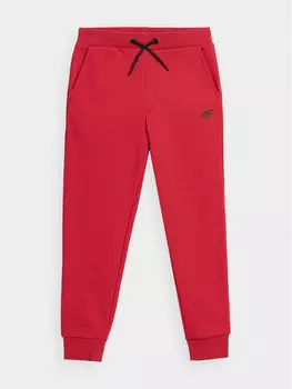 Спортивные брюки стандартного кроя 4F, красный