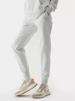Спортивные брюки стандартного кроя 4F, серый