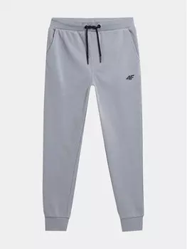 Спортивные брюки стандартного кроя 4F, синий