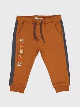 Спортивные брюки стандартного кроя Birba Trybeyond, коричневый