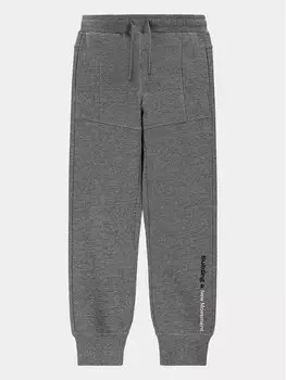 Спортивные брюки стандартного кроя Coccodrillo, серый
