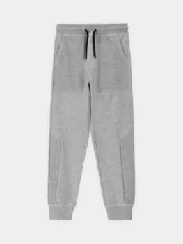 Спортивные брюки стандартного кроя Coccodrillo, серый
