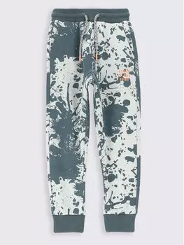 Спортивные брюки стандартного кроя Coccodrillo, серый