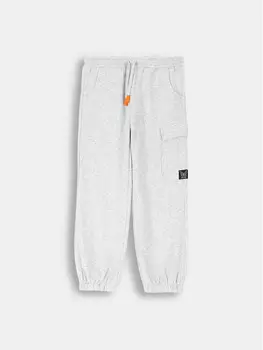 Спортивные брюки стандартного кроя Coccodrillo, серый