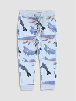 Спортивные брюки стандартного кроя Coccodrillo, синий