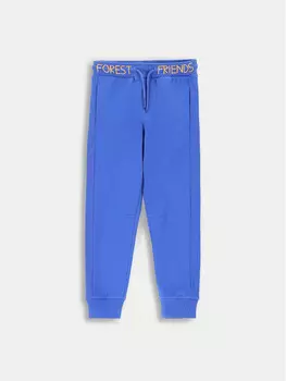 Спортивные брюки стандартного кроя Coccodrillo, синий