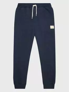 Спортивные брюки стандартного кроя Cotton On Kids, синий