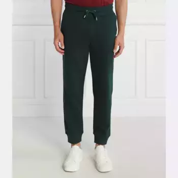 Спортивные брюки стандартного кроя Gant, зеленый