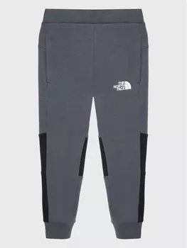 Спортивные брюки стандартного кроя The North Face, серый