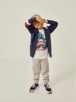 Спортивные брюки стандартного кроя Zippy, серый