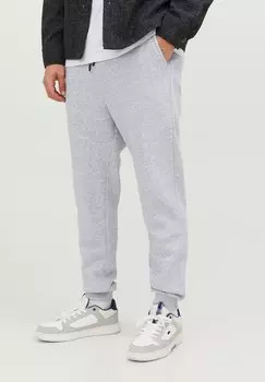 Спортивные брюки STGORDON BRADLEY GMS Jack & Jones, светло-серый