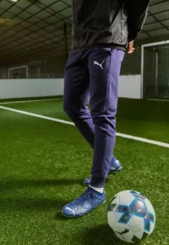 Спортивные брюки Teamgoal Casuals Pants Puma, цвет navy