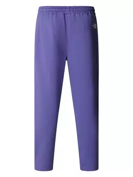 Спортивные брюки The North Face M STANDARD PANT, фиолетовый