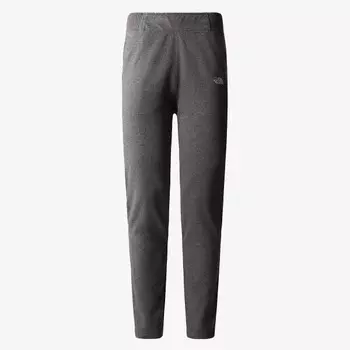 Спортивные брюки The North Face, серый