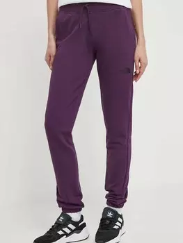 Спортивные брюки The North Face W REGULAR FIT SIMPLE DOME PANT, фиолетовый