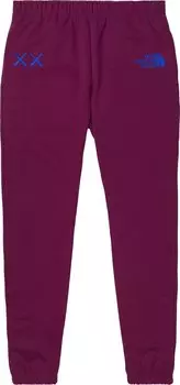 Спортивные брюки The North Face x KAWS Sweatpants 'Pamplona Purple', фиолетовый