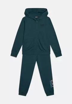 Спортивные брюки Tuta Sportiva Unisex EA7 Emporio Armani, цвет stargazer