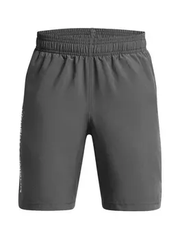 Спортивные брюки UNDER ARMOUR Regular Workout Pants Tech Woven Wordmark, серый