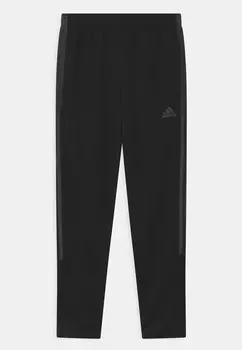 Спортивные брюки Unisex Стрельба Adidas, черный
