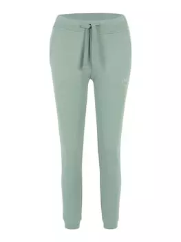 Спортивные брюки Venice Beach VB Lora, цвет willow green