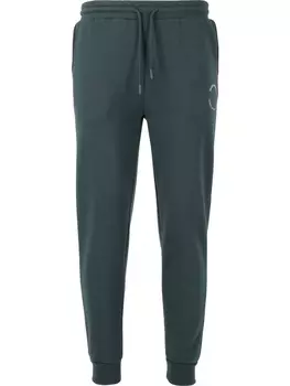 Спортивные брюки Virtus, цвет 3242 dusty forest