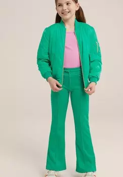 Спортивные брюки WE Fashion, зеленые