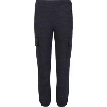 Спортивные брюки ЗИГЗАГ «Беньямин» универсального вида карго Zigzag, цвет blau