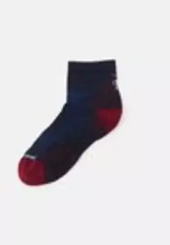Спортивные носки RUN CUSHION ANKLE SOCKS UNISEX Smartwool, синий
