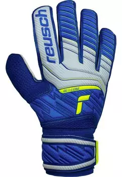 Спортивные перчатки Reusch ATTRAKT SOLID, синий