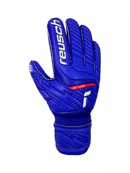 Спортивные перчатки REUSCH, синий