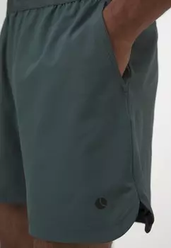 Спортивные шорты ACE Bjrn Borg, цвет Urban Chic