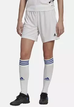 Спортивные шорты Adidas