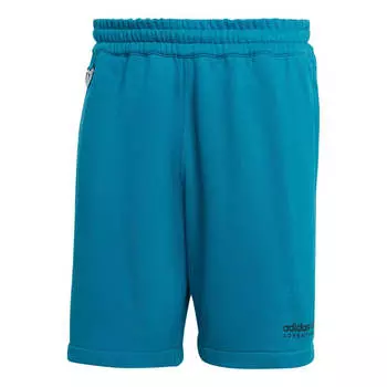 Спортивные шорты Adidas Originals Adventure, синий