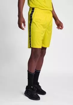 Спортивные шорты AUTHENTIC PL Hummel, цвет blazing yellow