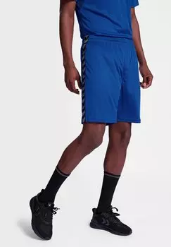 Спортивные шорты AUTHENTIC PL Hummel, цвет true blue