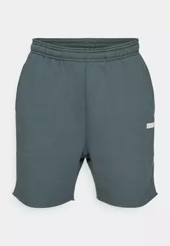 Спортивные шорты Bjrn Borg, серо-голубой Studio Oversized Shorts