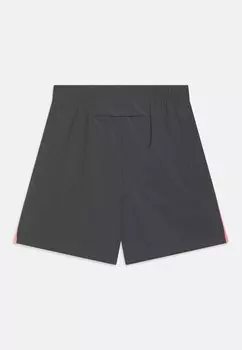 Спортивные шорты Df Challenger Short Unisex Nike, железно-серый/пульс заката/светоотражающее серебро