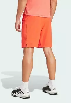 Спортивные шорты ERGO SHORT adidas, красный