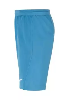 Спортивные шорты Fussball Dri-Fit Park Nike, синий